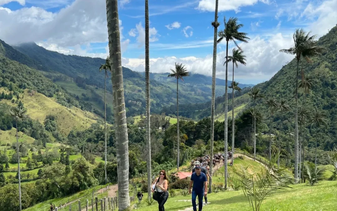 En lo alto de las nubes: la guía definitiva para caminar por el Valle de Cocora