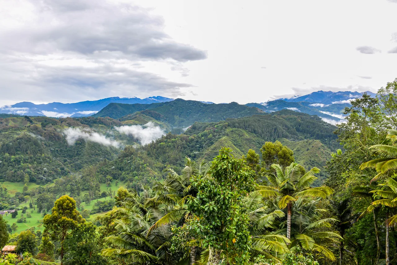 best hotel in salento colombia walking distance to town square best hotel in salento colombia walking distance to town square