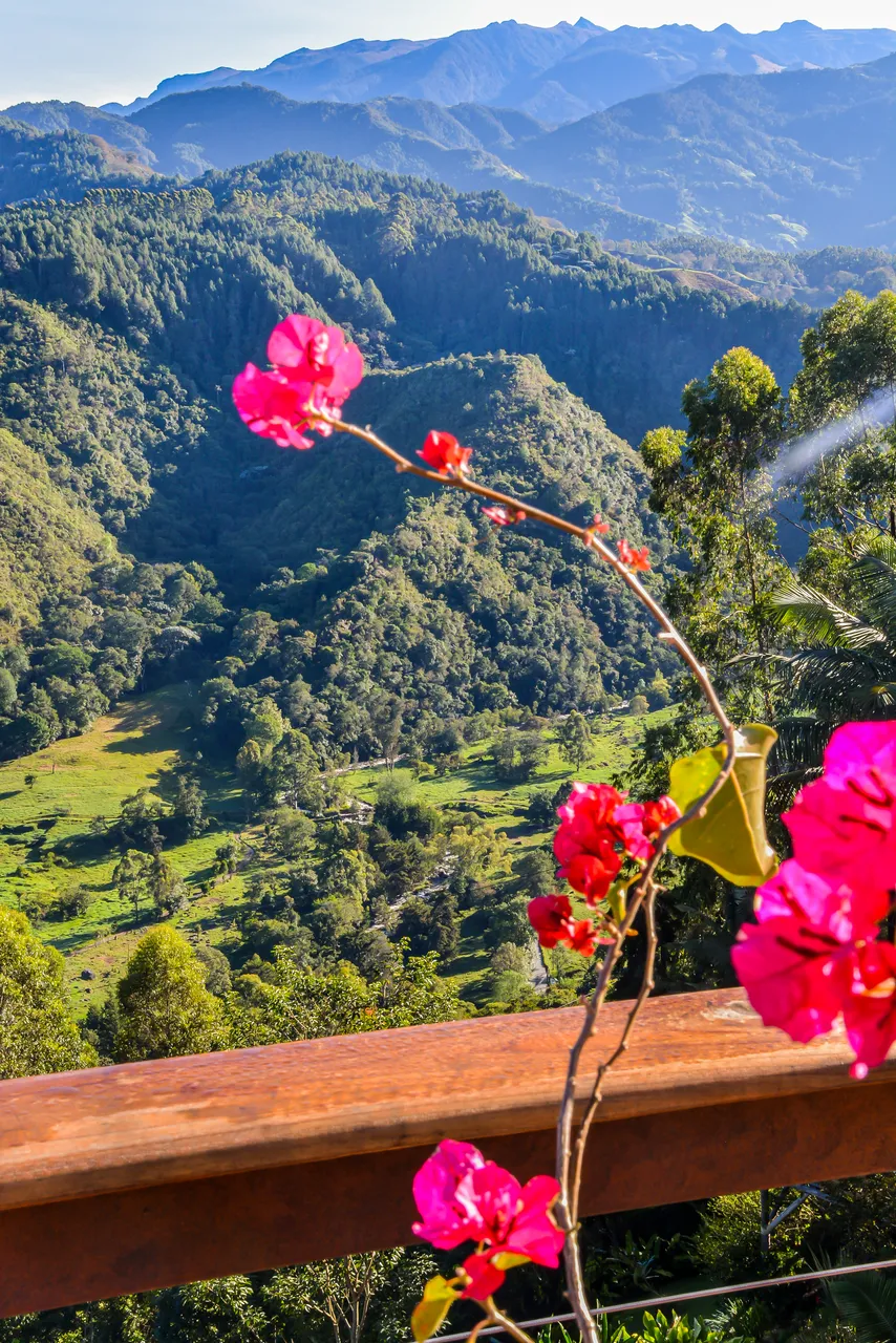 best hotel in salento colombia best hotel in salento colombia