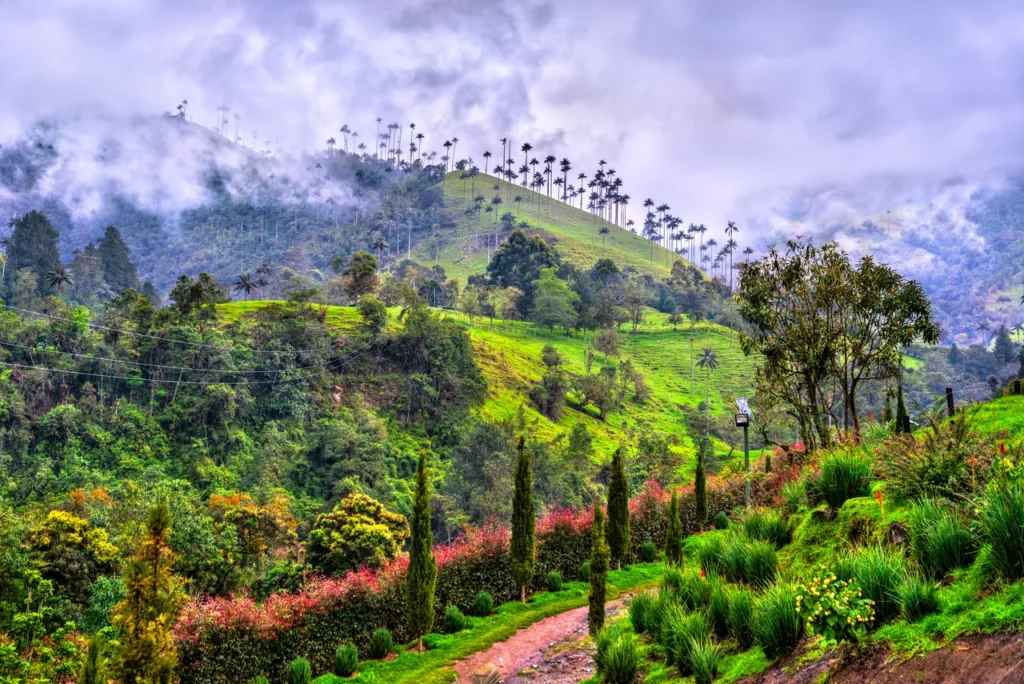 comparable hotel to kawa close to cocora valley with beautiful views