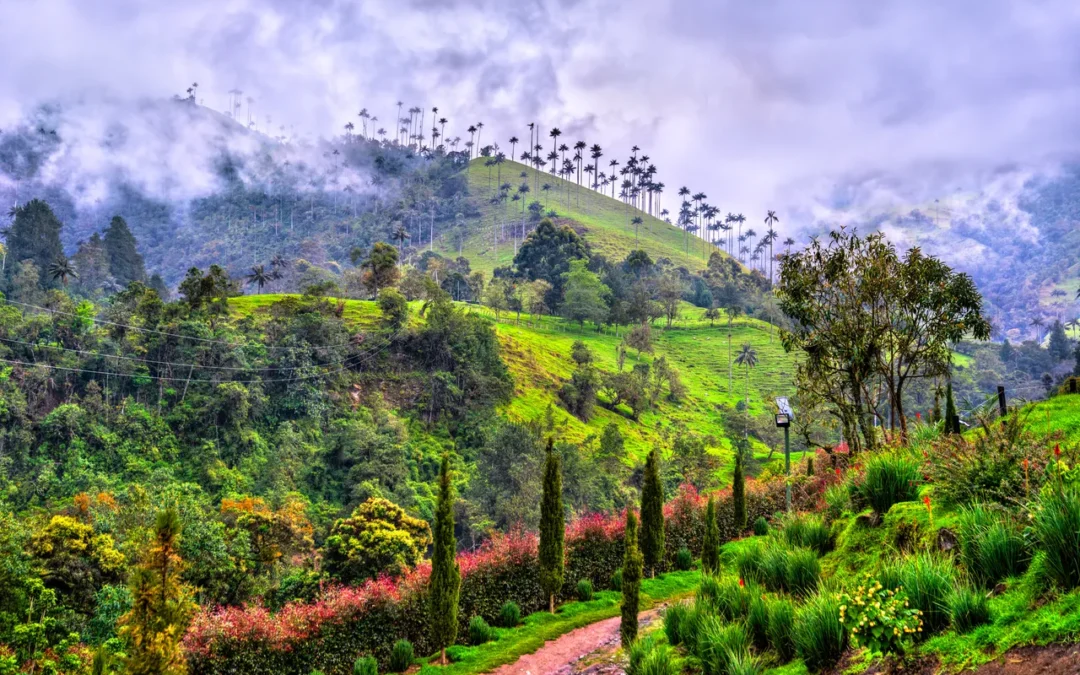 La guía definitiva de Salento: entre nubes y café en el corazón de Colombia