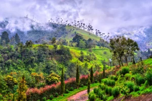 comparable hotel to kawa close to cocora valley with beautiful views