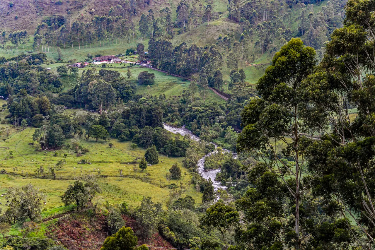 best hotel view of salento in salento colombia