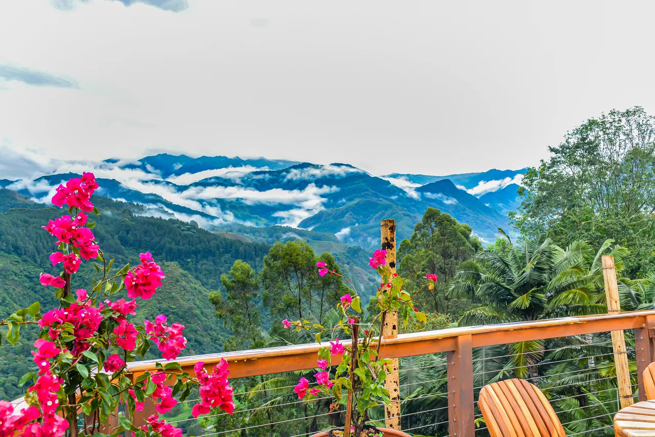 peaceful hotel stay in salento colombia peaceful hotel stay in salento colombia